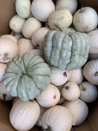 High angle view of pumpkins for sale in market