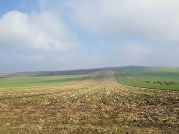 Scenic view of agricultural field against sky