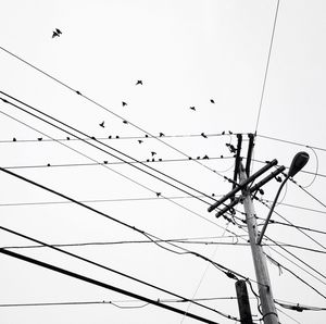 Low angle view of power lines