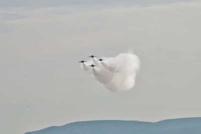 Airplane flying in sky