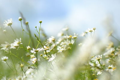 Beautiful glimpse into the natural world