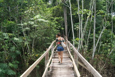 Rear view of woman walking on footbridge in forest