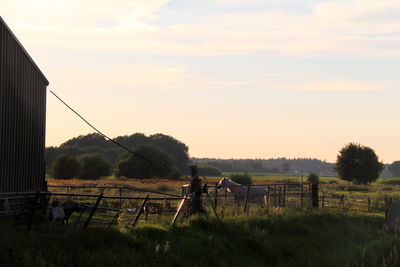 Scenic view of field against sky during sunset