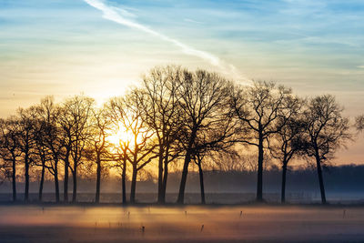 Bare trees on landscape against sky during sunset