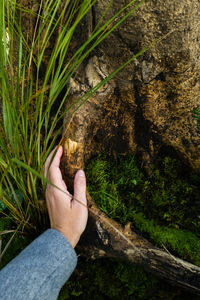 Female hand touching nature environment