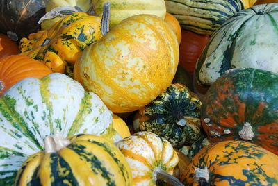 Close-up of pumpkins for sale at market