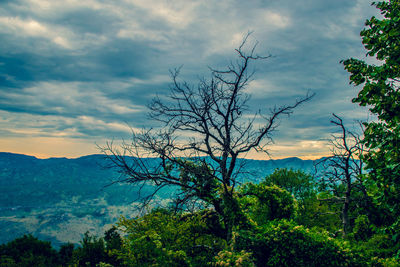 Scenic view of tree mountains against sky