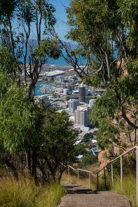 Trees and buildings in city