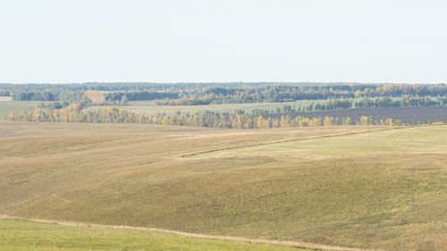 Scenic view of field against clear sky