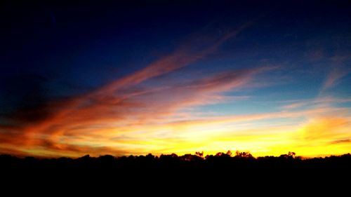 Silhouette trees against sky during sunset