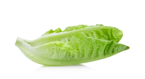 Close-up of green leaf against white background