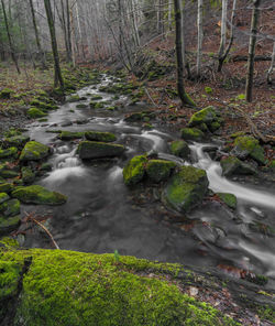 Stream flowing through rocks in forest