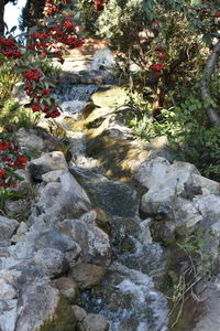 Stream flowing through rocks in forest