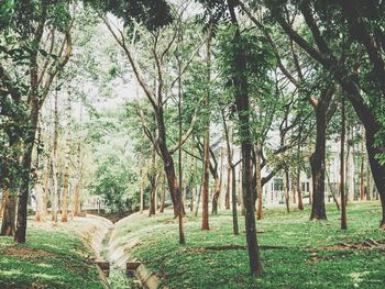 Scenic view of green landscape