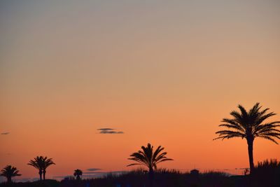 Silhouette palm trees against orange sky