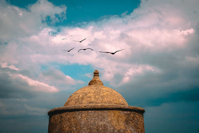 Low angle view of birds flying against sky