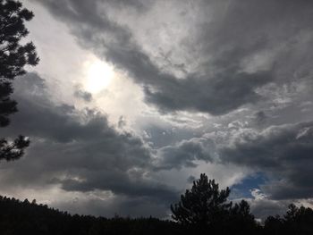 Low angle view of silhouette trees against sky