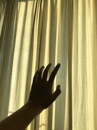 Close-up of hand touching window