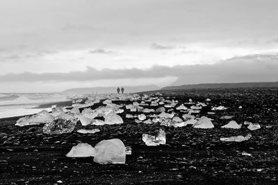 Ice blocks are scattered on a black volcanic beach, in the background people