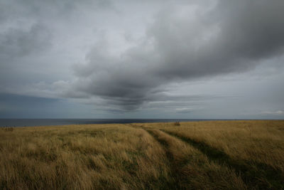 Scenic view of field against cloudy sky