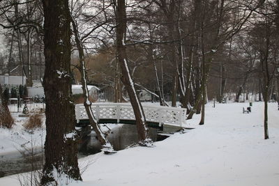 Bare trees on snow covered landscape