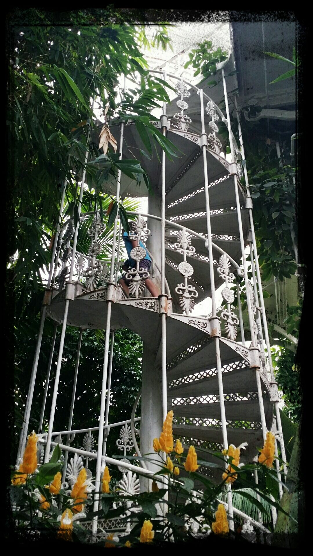 Palm house, kew gardens