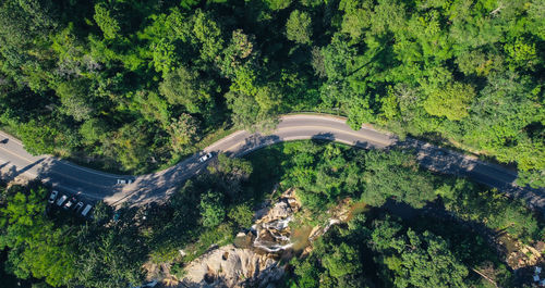 High angle view of road amidst trees