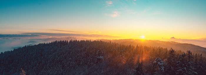 Sunset colors over a forest panorama.