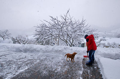 View of dog on snow covered field