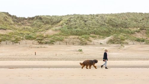Woman walking with dog at beach against sky