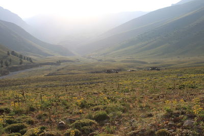 Scenic view of field against sky