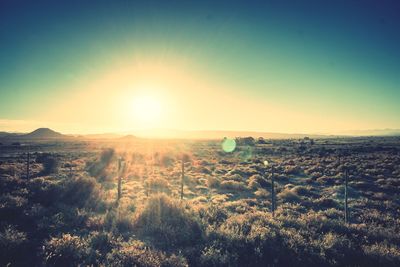 Sun shining over landscape