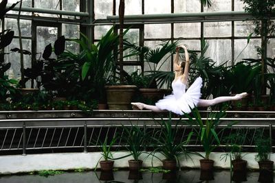 Woman with potted plants against window