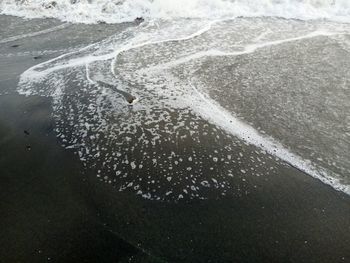 High angle view of wet beach