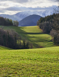 Scenic view of field against sky