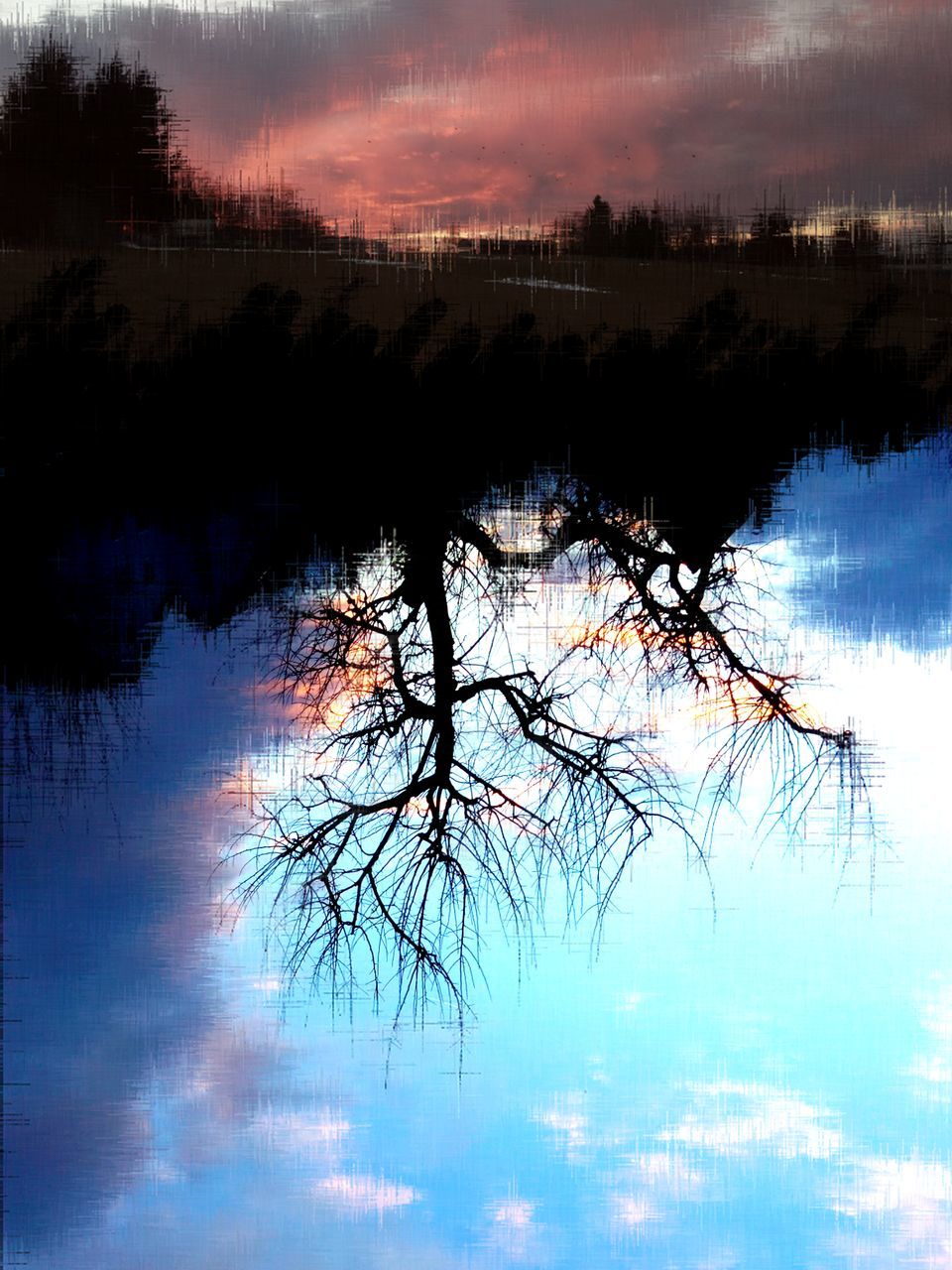 reflection, tree, silhouette, nature, water, sky, beauty in nature, lake, cloud - sky, no people, sunset, outdoors, extreme weather