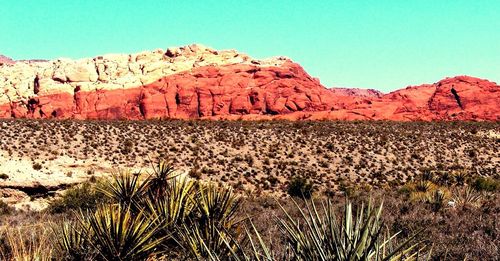 Scenic view of landscape against clear sky