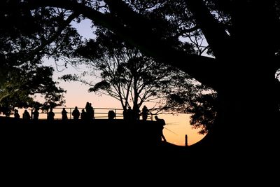 Low angle view of silhouette trees against sky at sunset