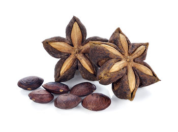 High angle view of coffee beans against white background