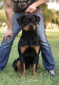 Low section of man with dog on field