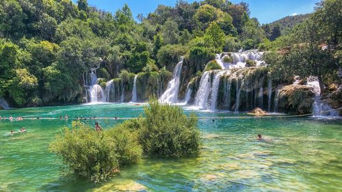Scenic view of waterfall in forest