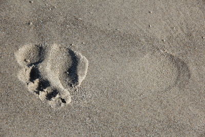 High angle view of footprints on sand