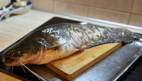 Close-up of fish on table