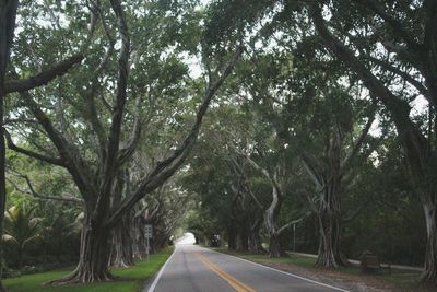 Road passing through country road