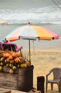Rear view of woman with umbrella on beach