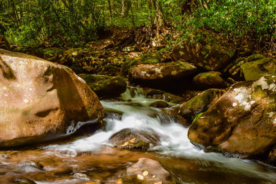 Stream flowing through rocks