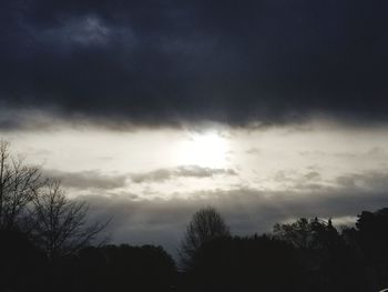 Low angle view of silhouette trees against sky at sunset