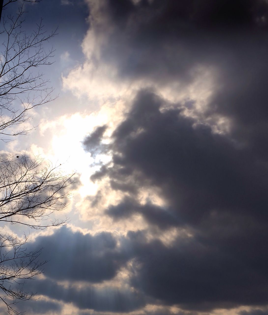 sky, cloud - sky, low angle view, cloudy, beauty in nature, tranquility, nature, scenics, weather, cloud, cloudscape, tranquil scene, tree, overcast, silhouette, backgrounds, sunset, outdoors, dramatic sky, sky only