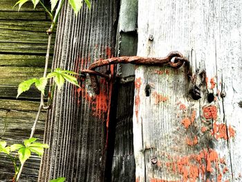 Close-up of rusty door