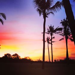 Silhouette palm trees against sky during sunset